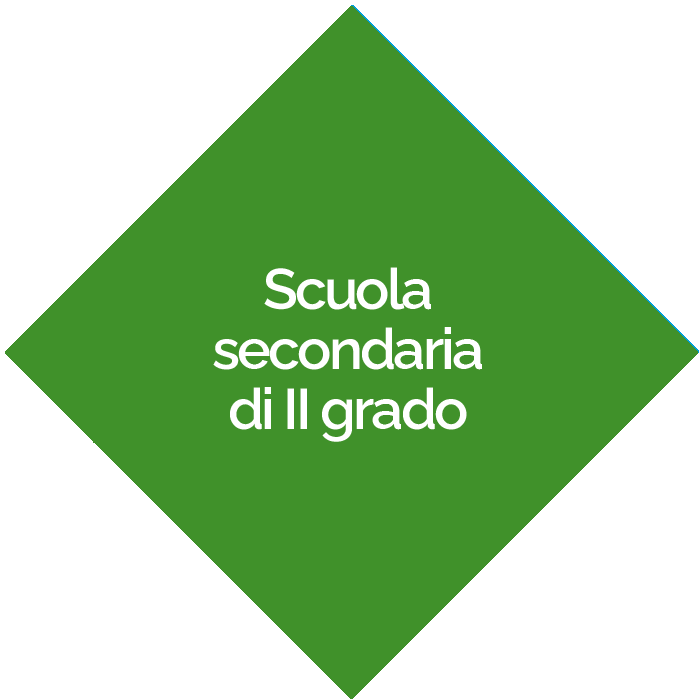 cea-rombo-scuola-secondaria-2-grado