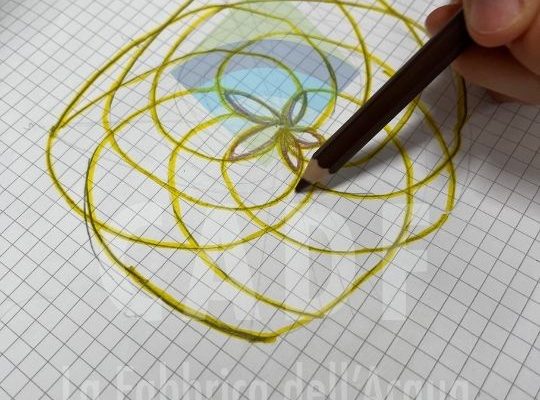 foto per sito cea 2025 (1)