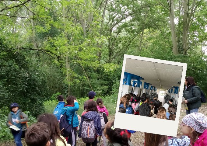 🎒Visita alla Centrale di potabilizzazione e al Bosco di Ro