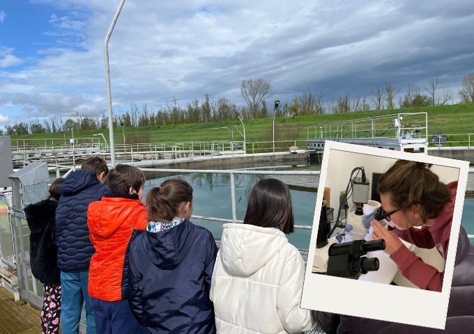 🔬 Percorso scientifico